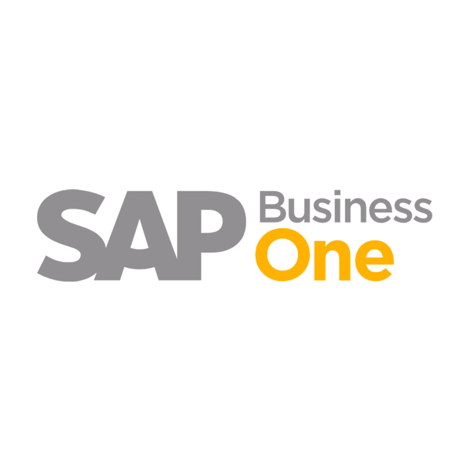 sap-b1-software